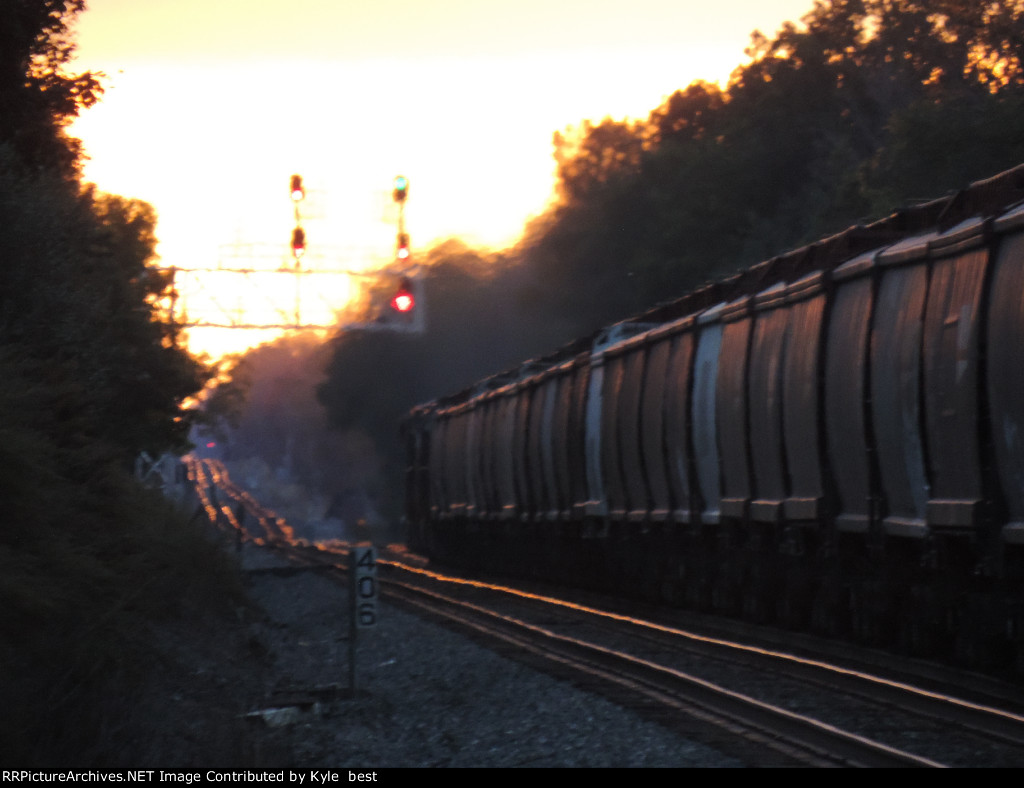 grain cars in the setting sun 